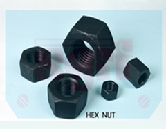 Hex Nut
