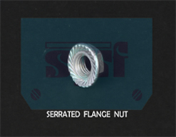 Serrated Flange Nut