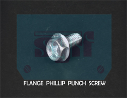 Flange phillip punch Screw