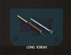 Long Screws
