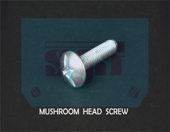 Mushroom Head Screw