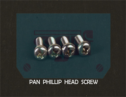 Pan Phillip Head Screw