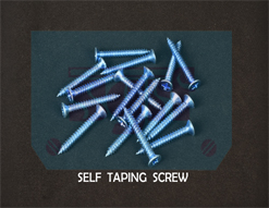 Self Taping Screw