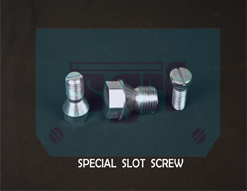 Special Slot Screw
