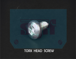 Torx Head Screw
