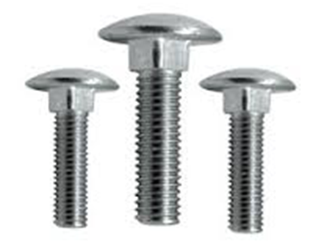 Carriage Bolts 1